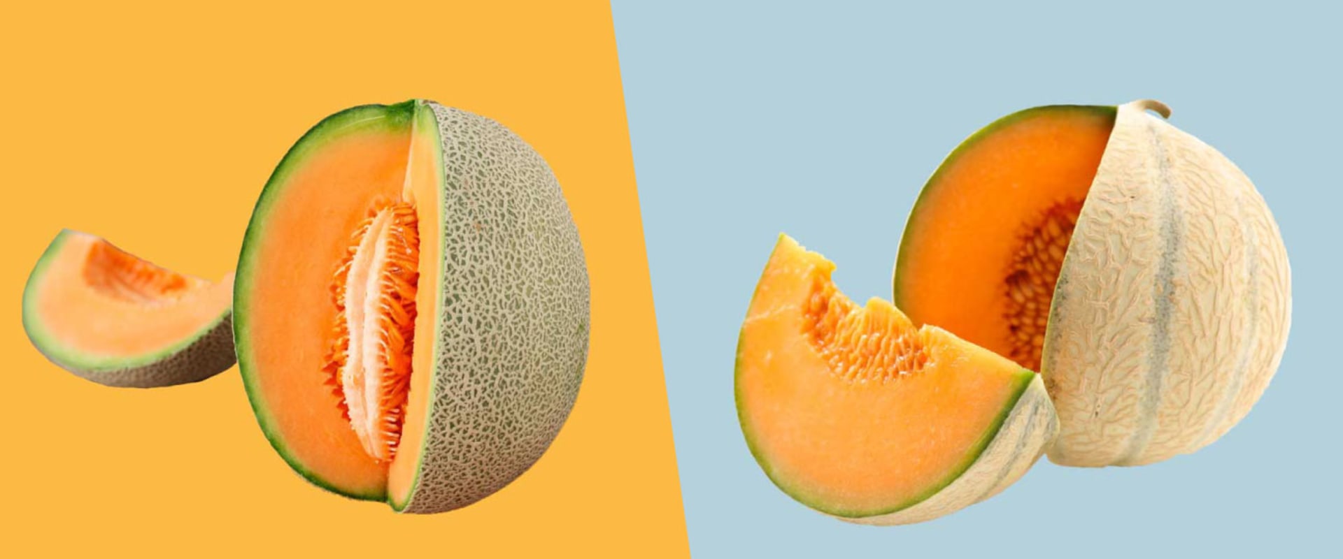 The Health Benefits of Musk Melon A Nutritional Powerhouse